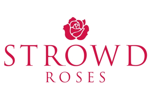 Strowd Roses